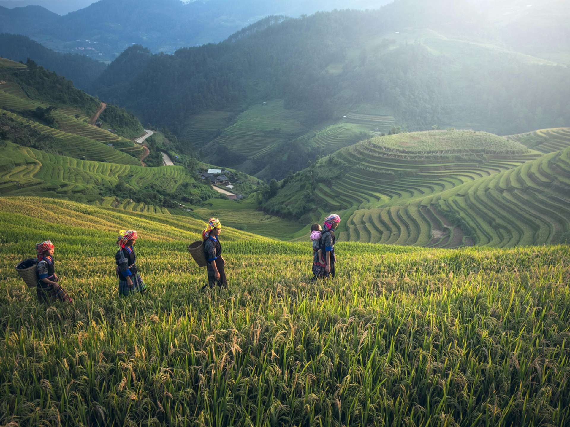 Tours and trips in Sapa