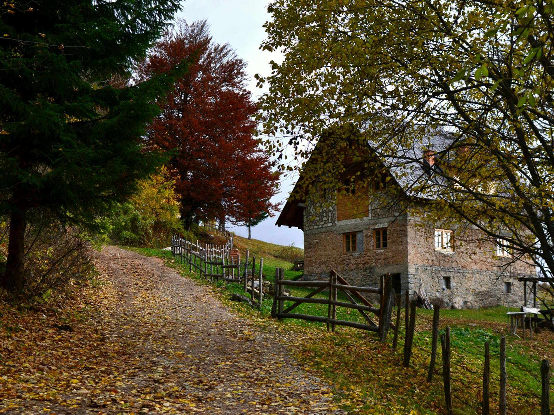Tours and trips in Sarajevo