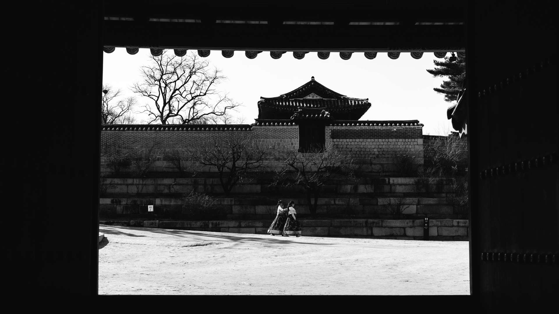 Seoul Tours and Trips