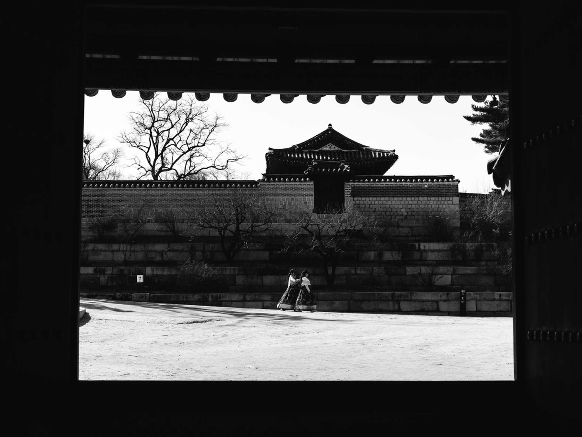 Tours and trips in Seoul