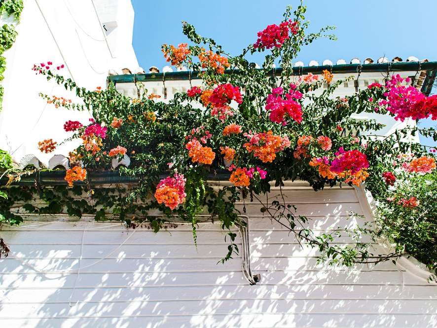 Tours and trips in Cordoba