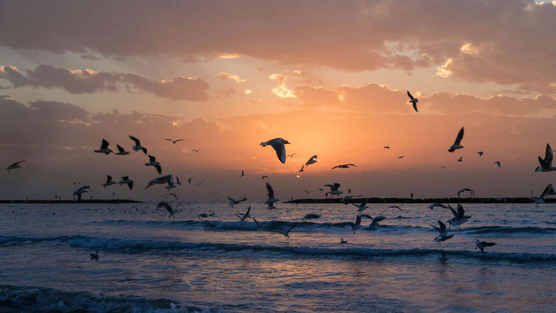 Tel Aviv Tours and Trips