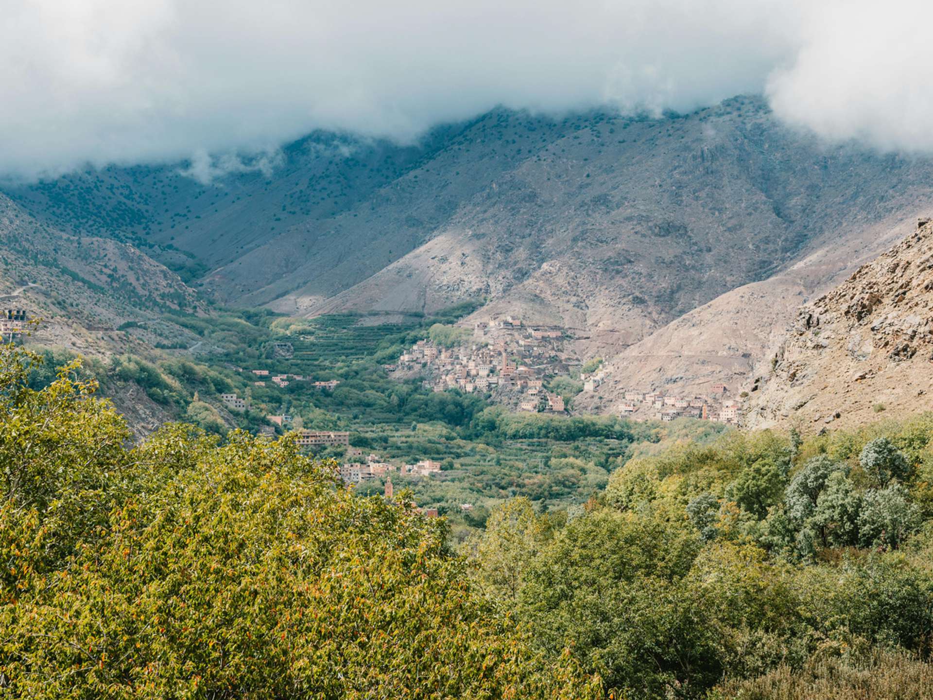 Tours and trips in Todra Gorges