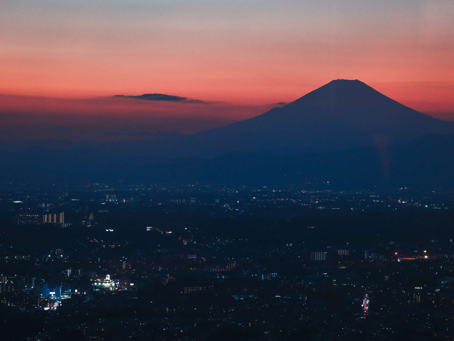 Tours and trips in Tokyo