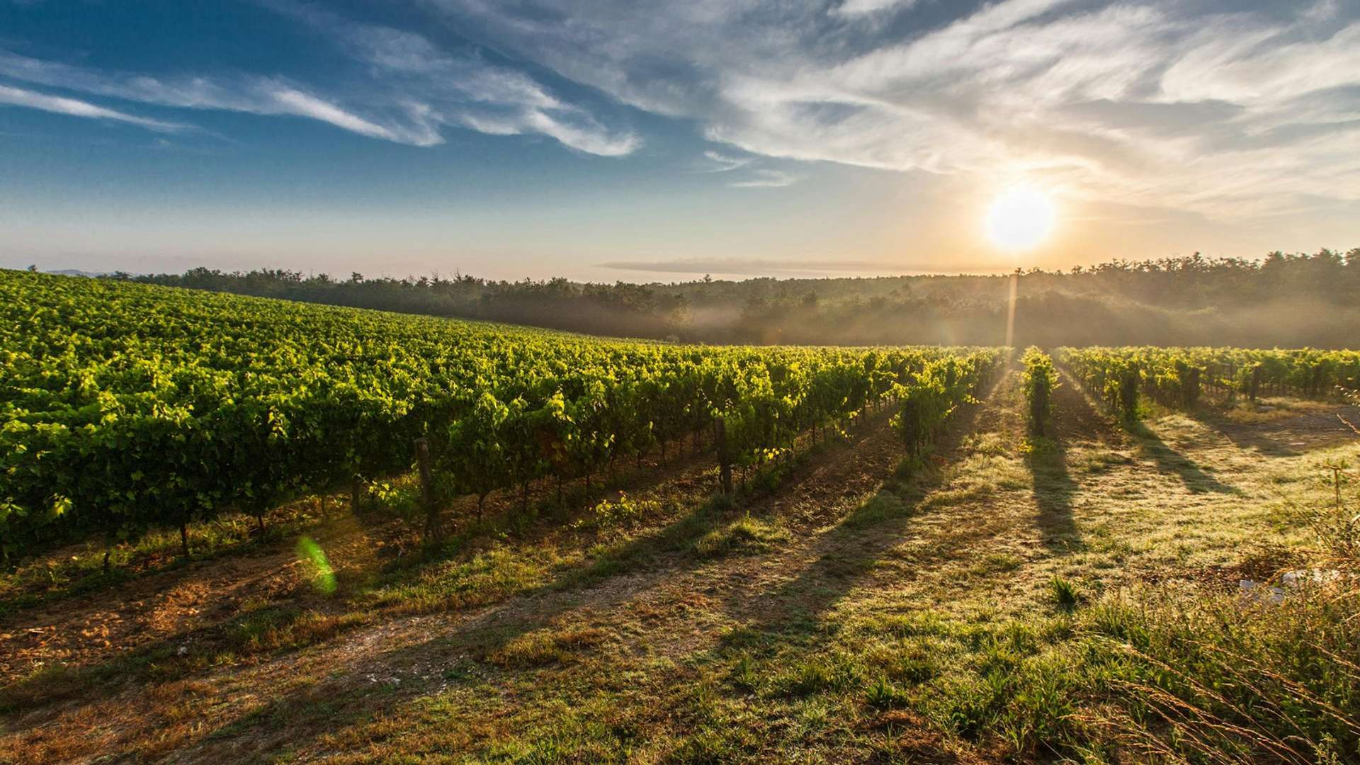 Tuscany Tours and Trips