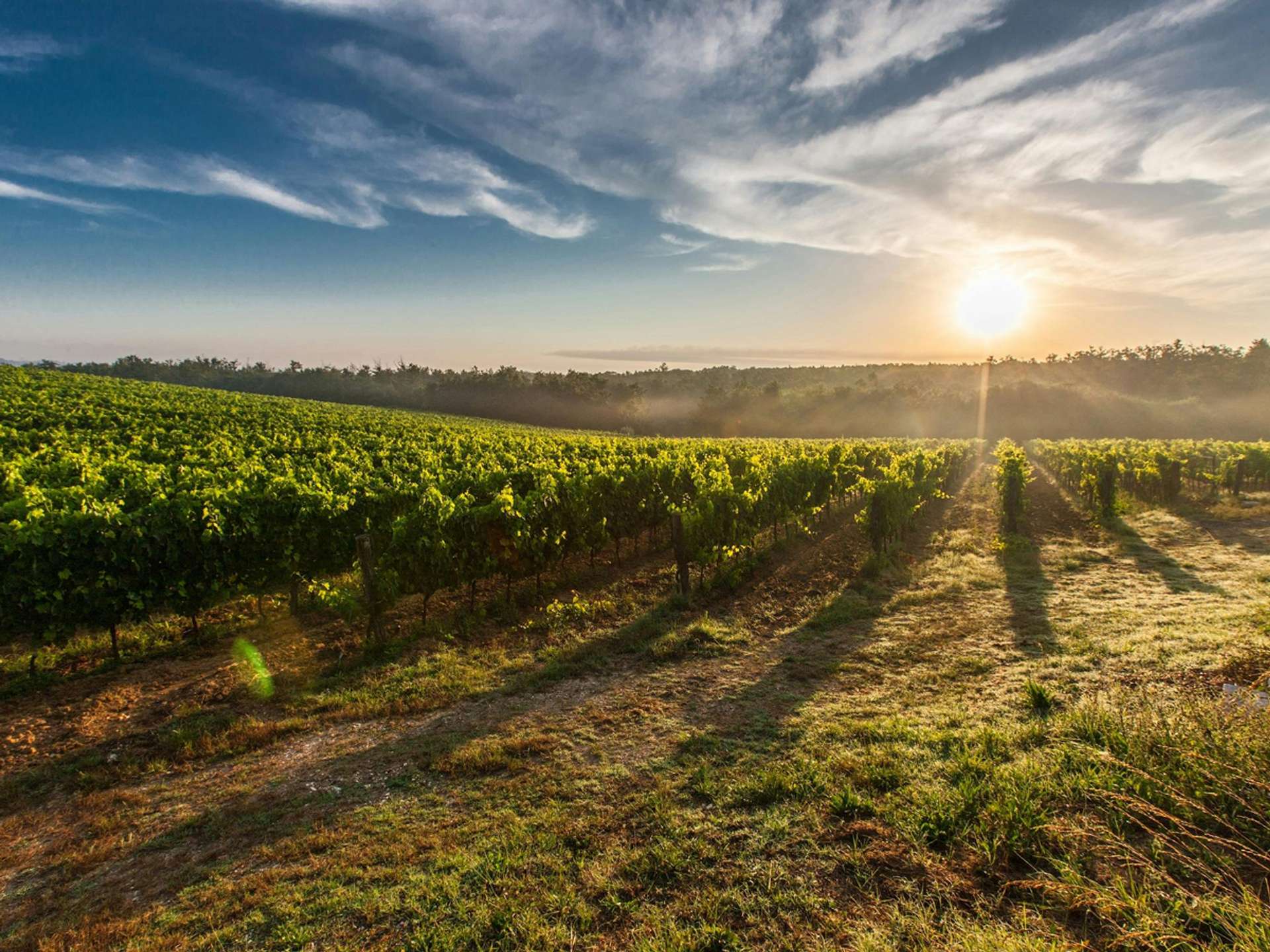 Tours and trips in Tuscany