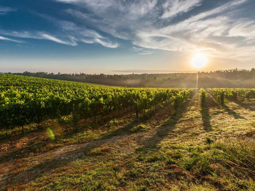 Tours and trips in Tuscany