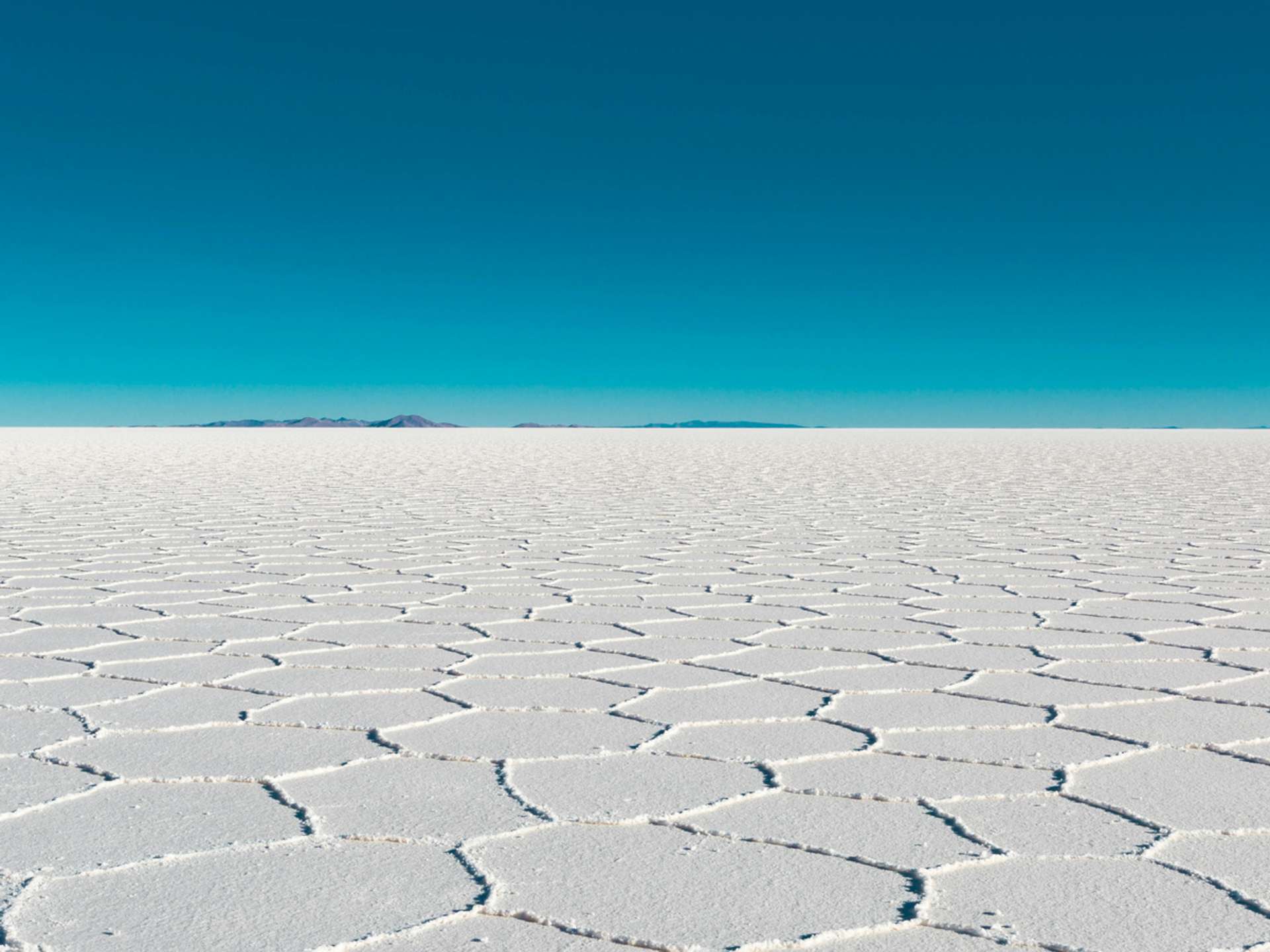 Tours and trips in Uyuni