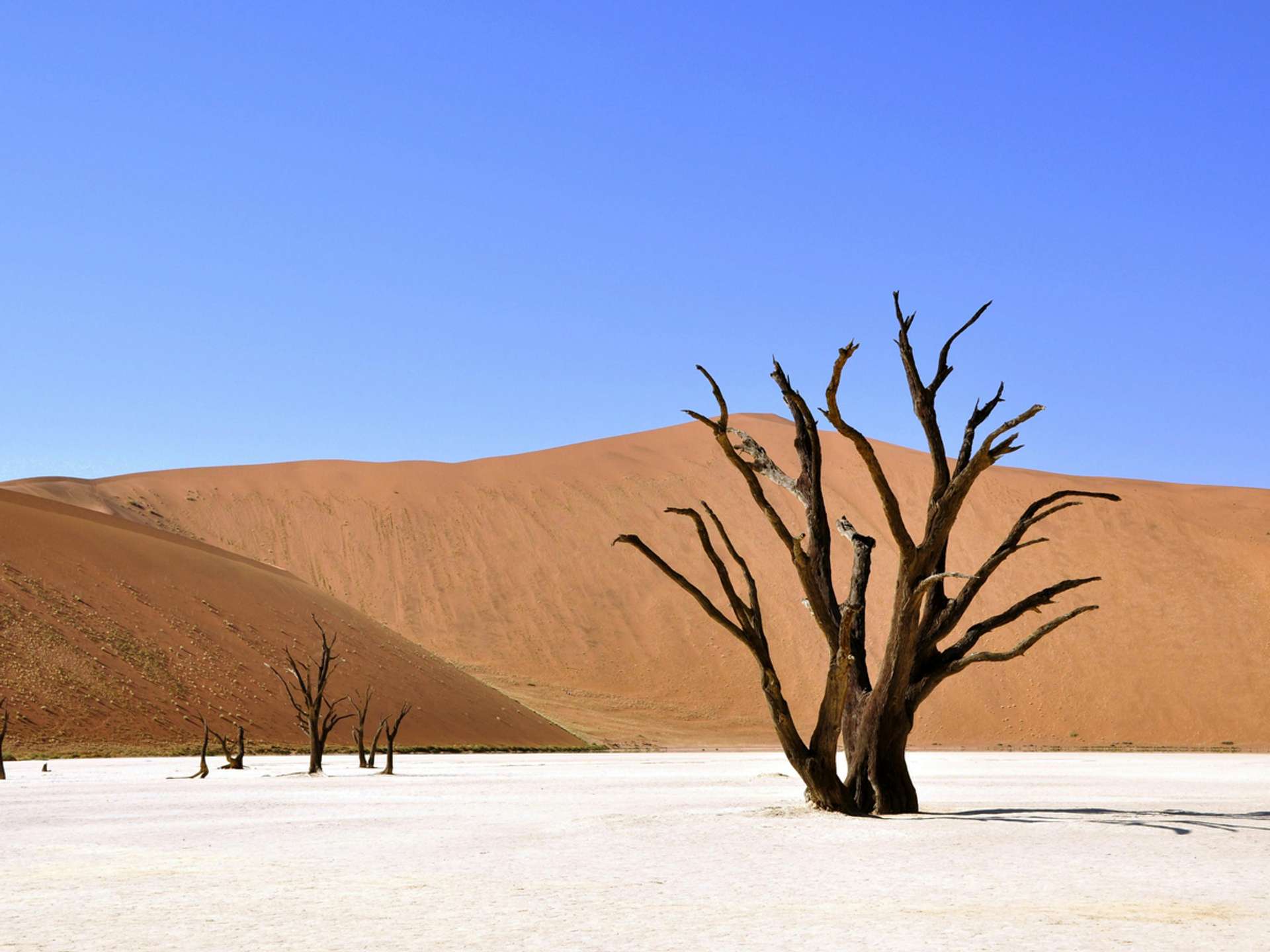Tours and trips in Windhoek