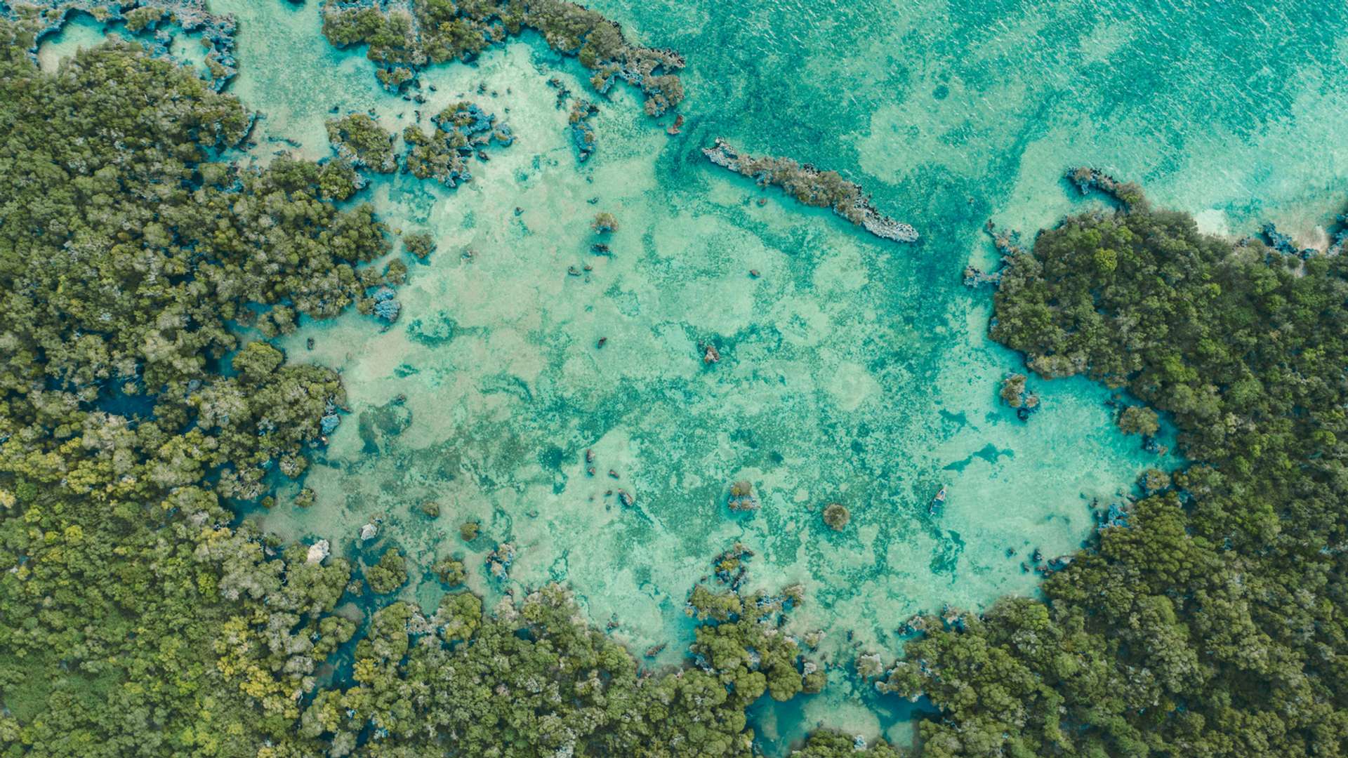 Zanzibar Tours and Trips