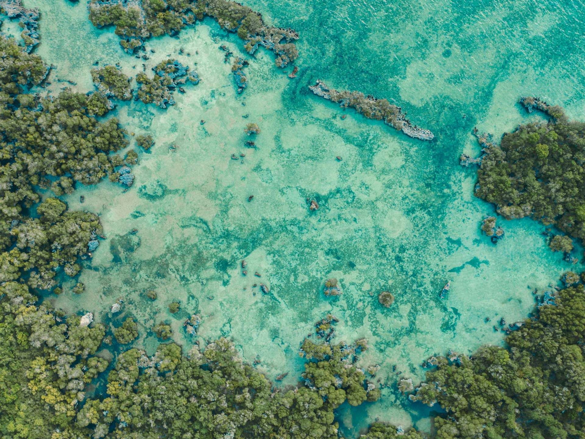 Tours and trips in Zanzibar