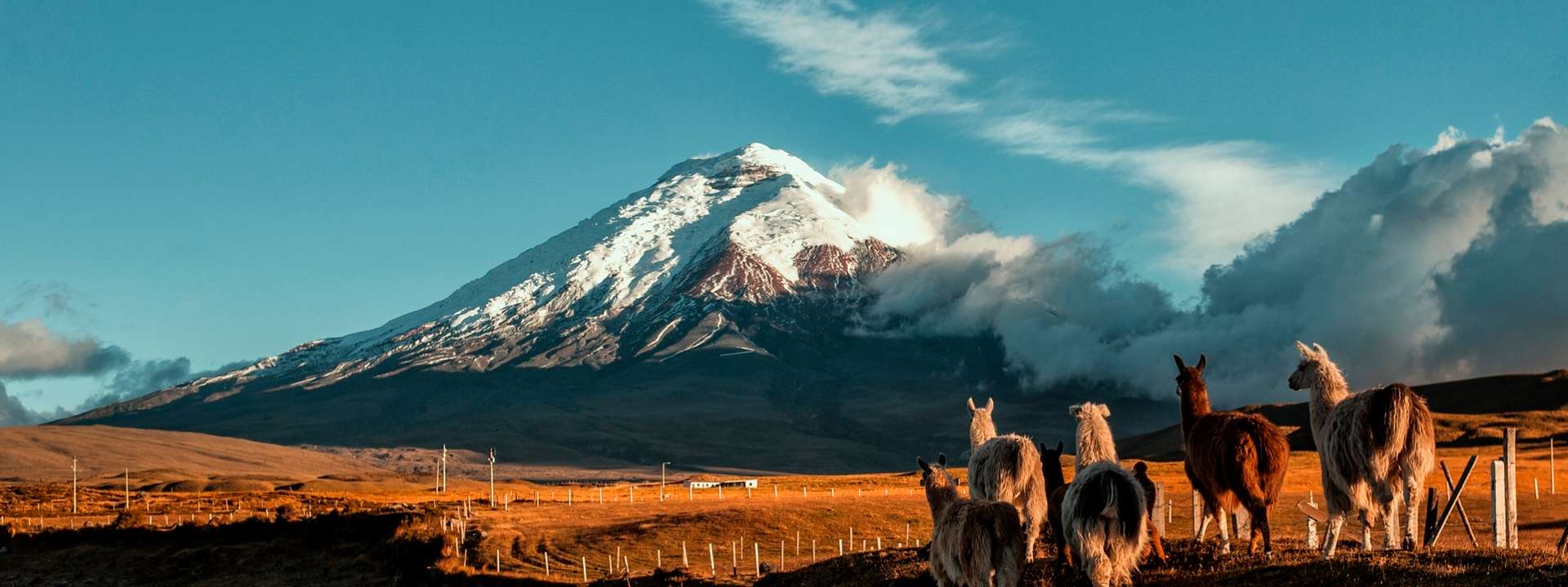 Ecuador Group Tours