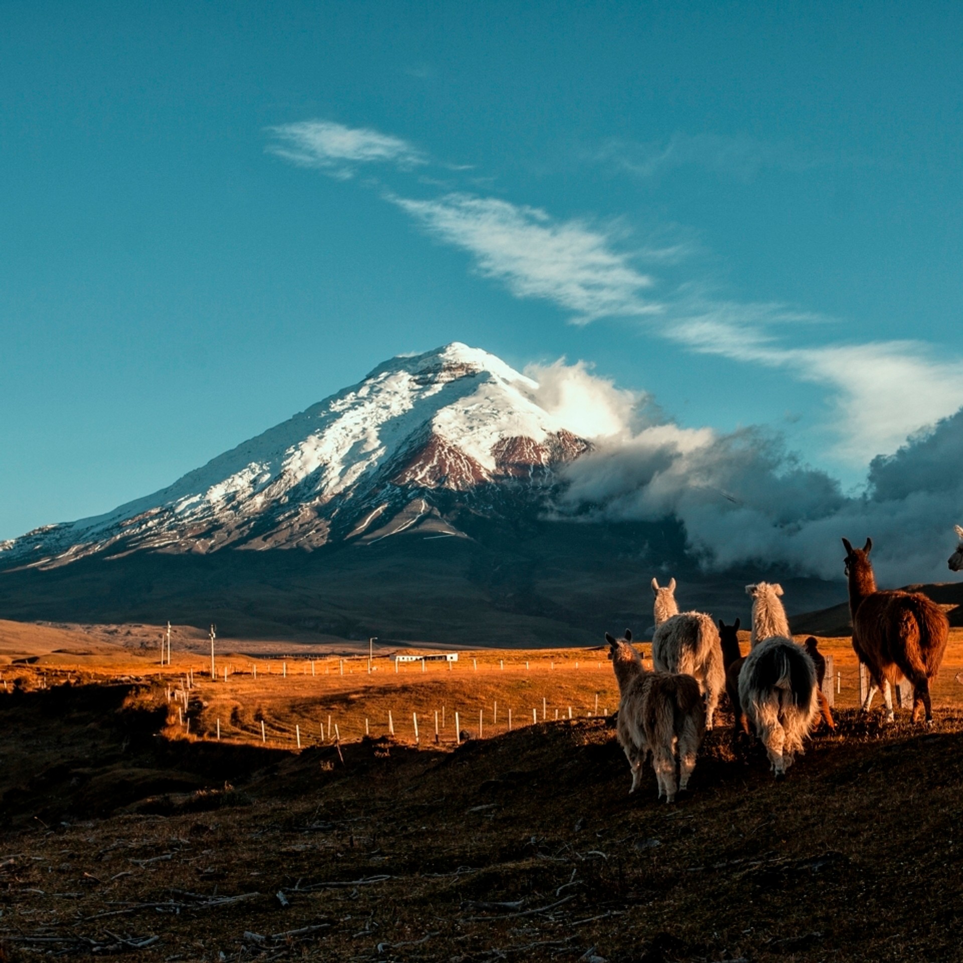 Ecuador tours and trips
