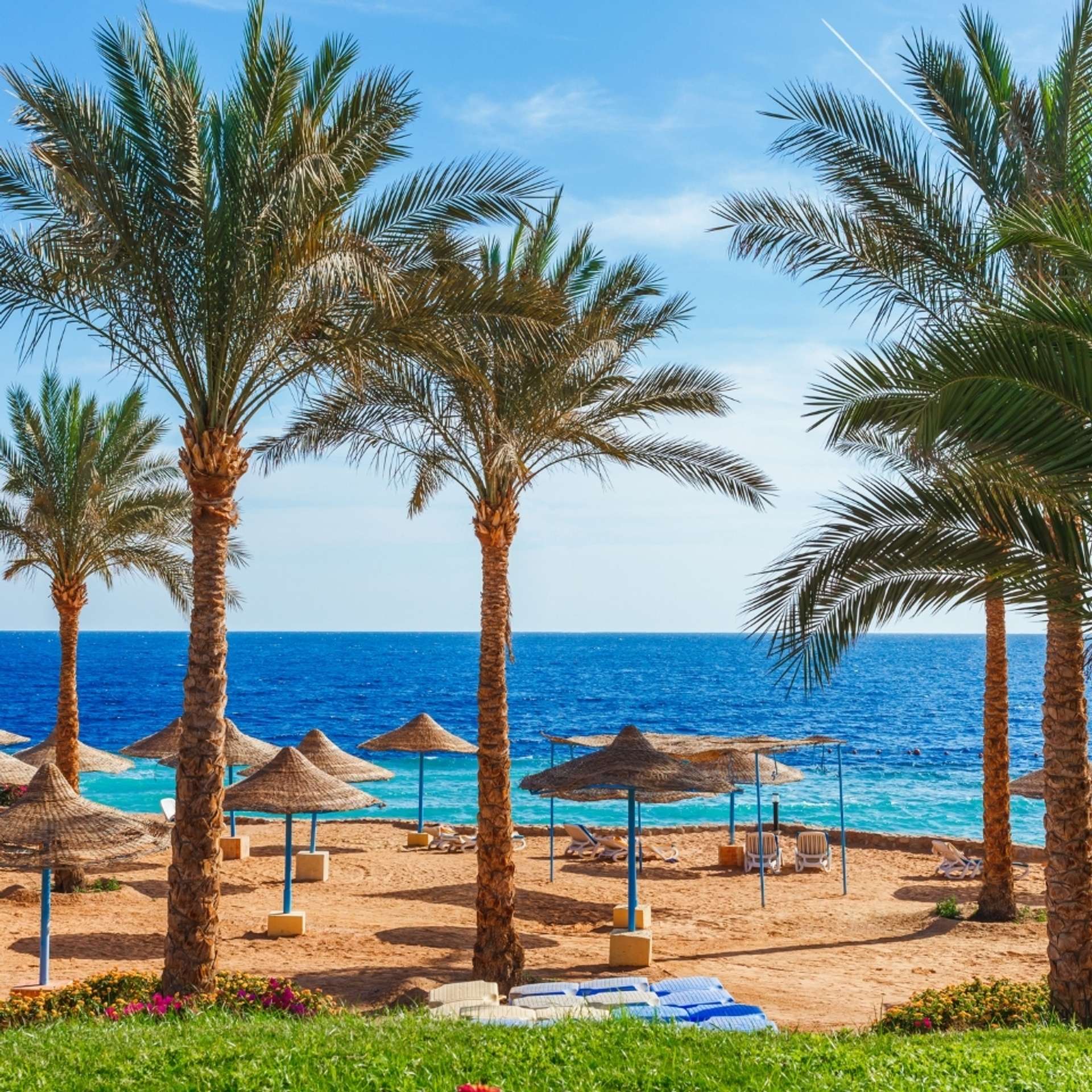Luxury tours in Egypt