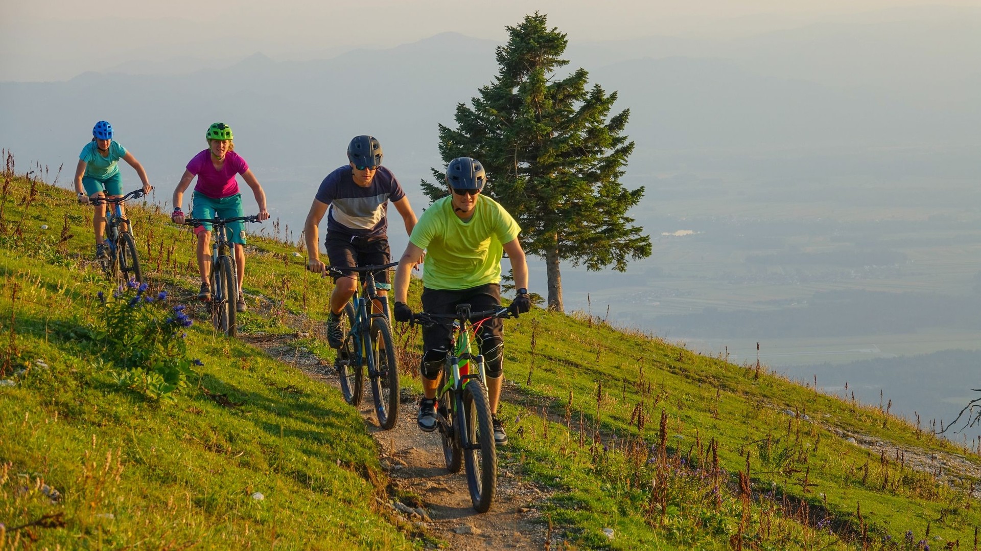 Bicycle tours and trips