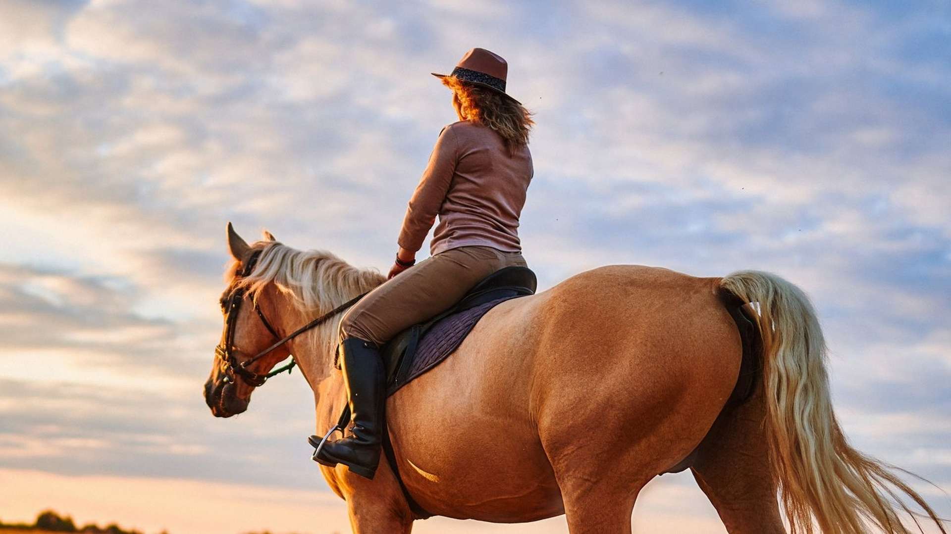 Top Rated Horseback riding Tours Across the Globe