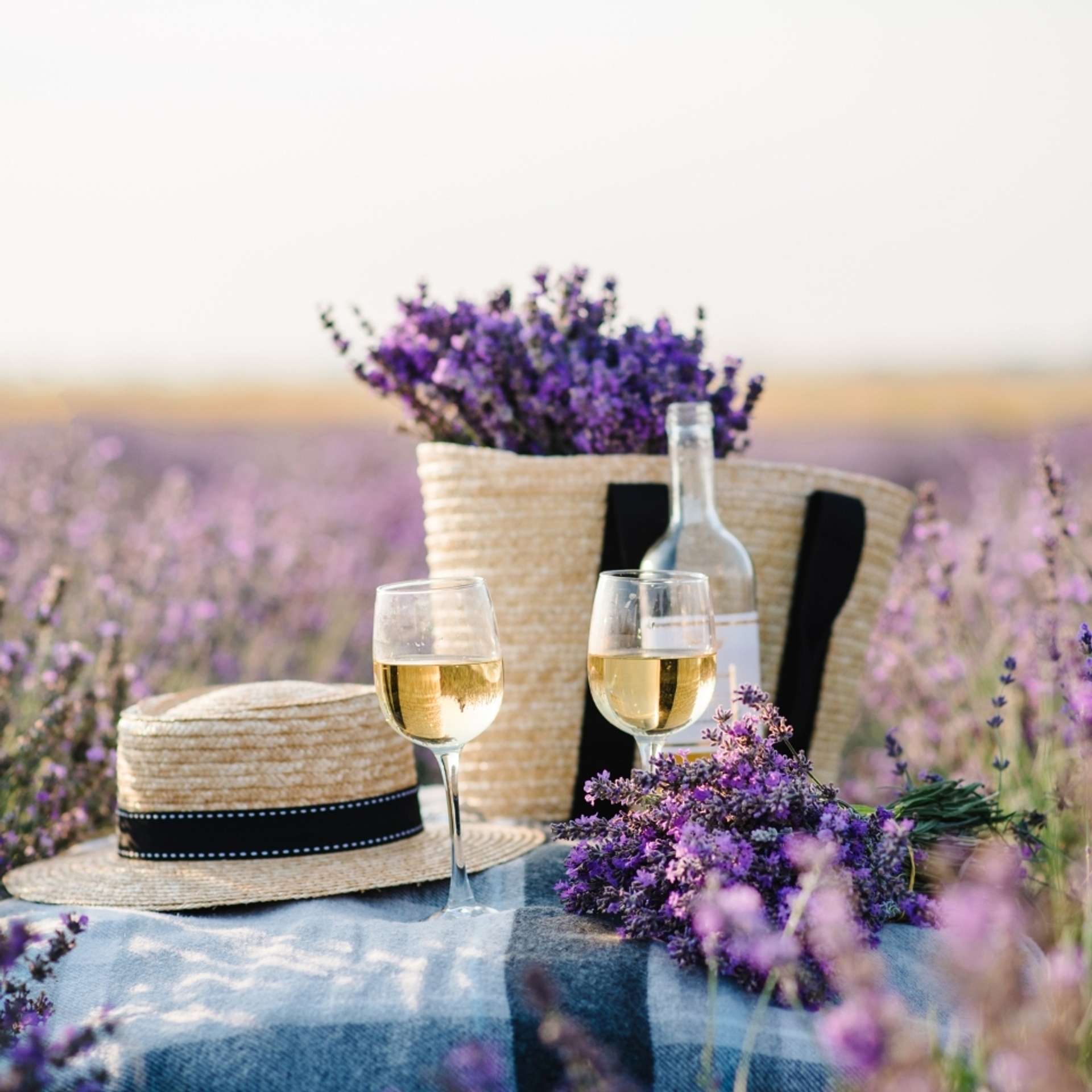 Luxury tours in France