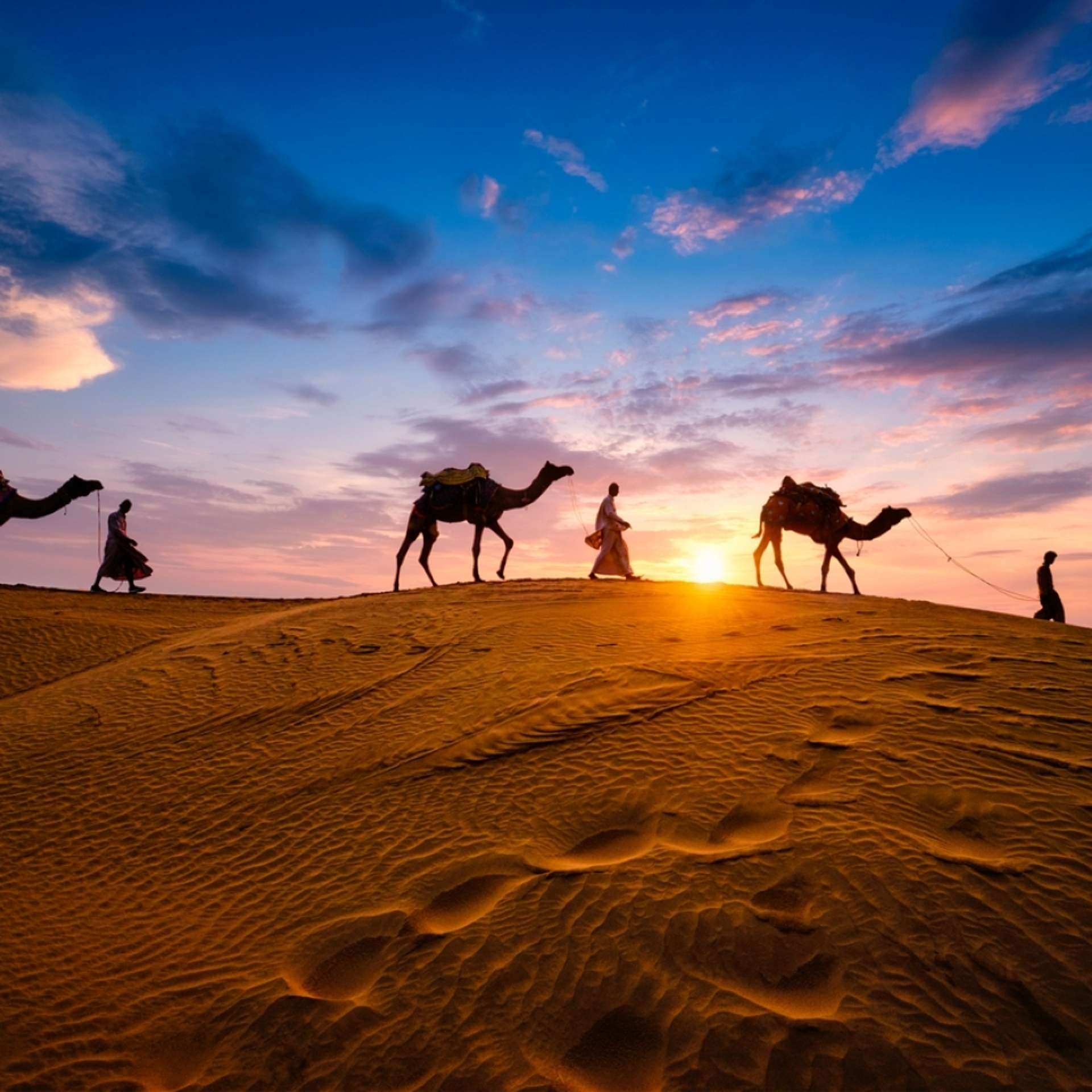 Private tours in India