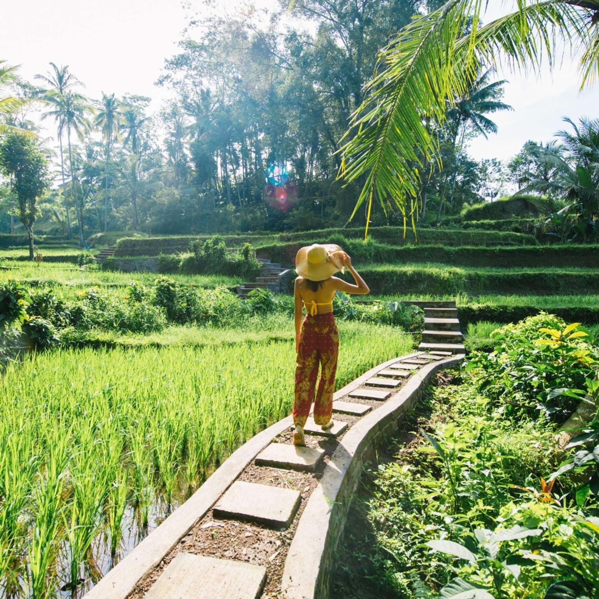 Private tours in Indonesia