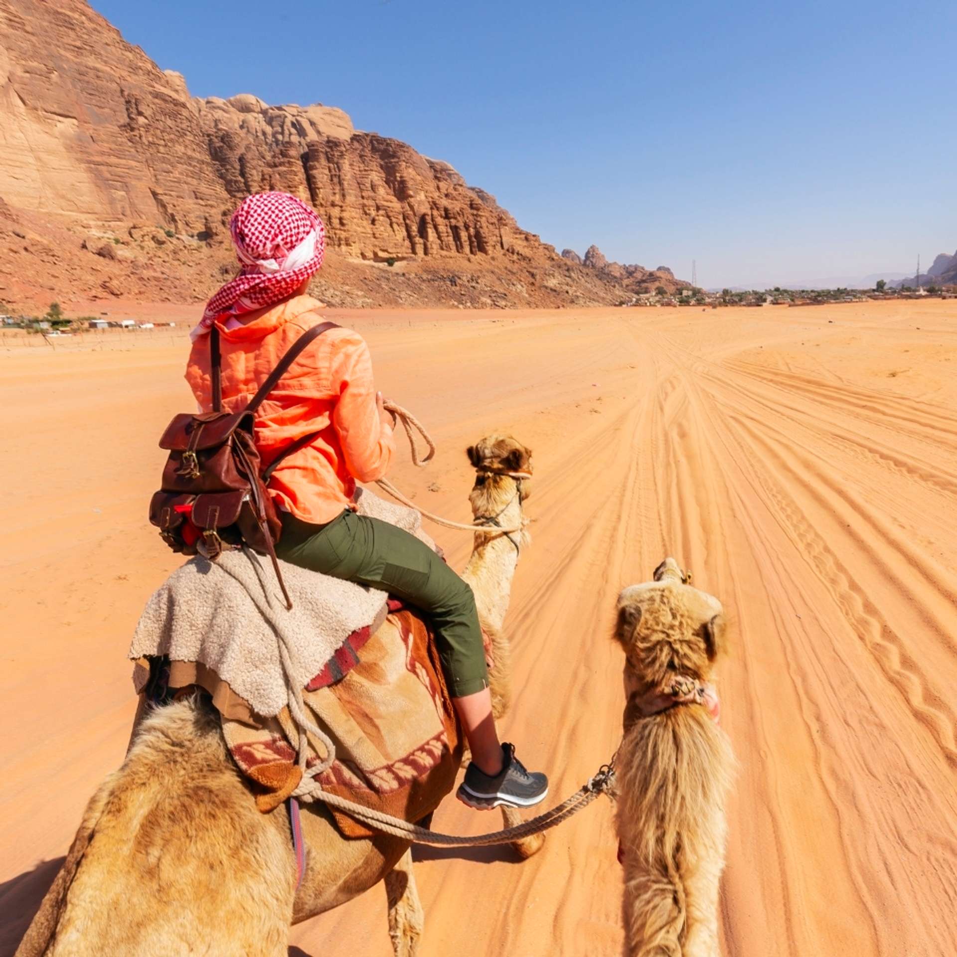 Private tours in Jordan