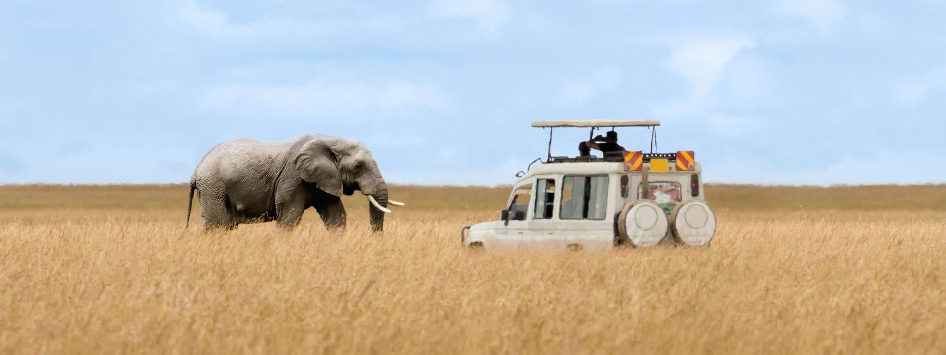 Kenya Tours in Summer