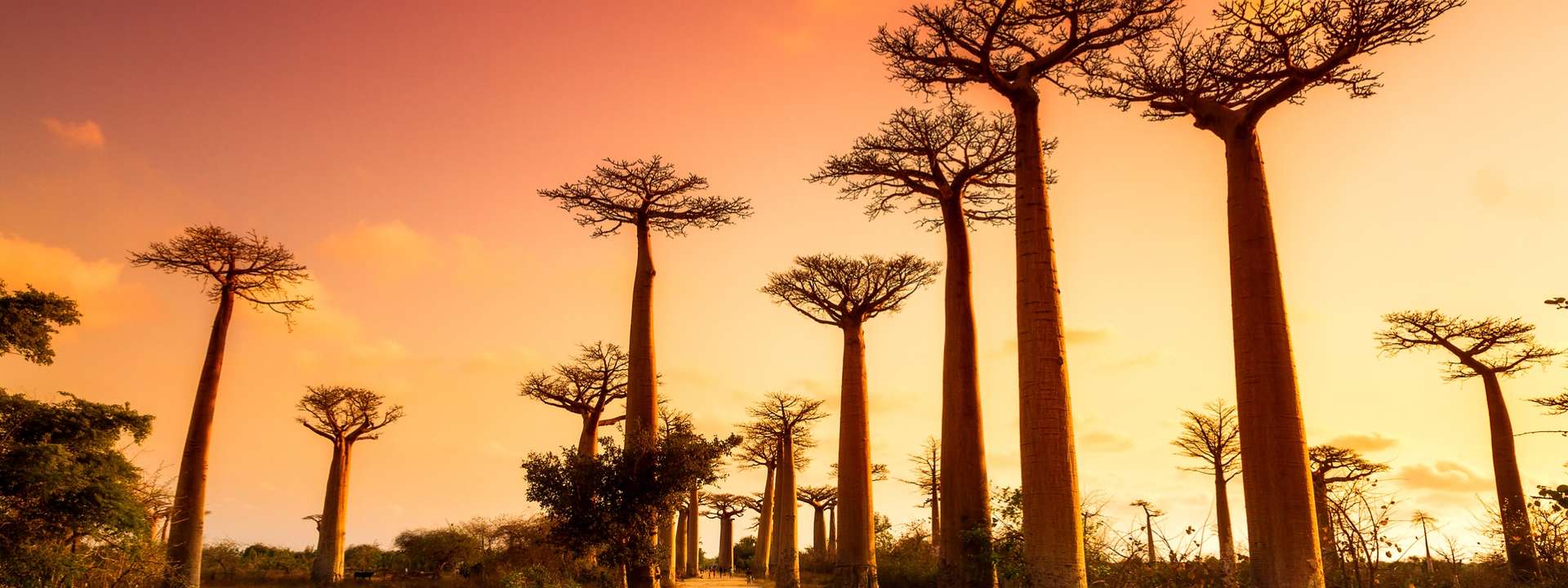 Madagascar Self-Guided Tours and Trips