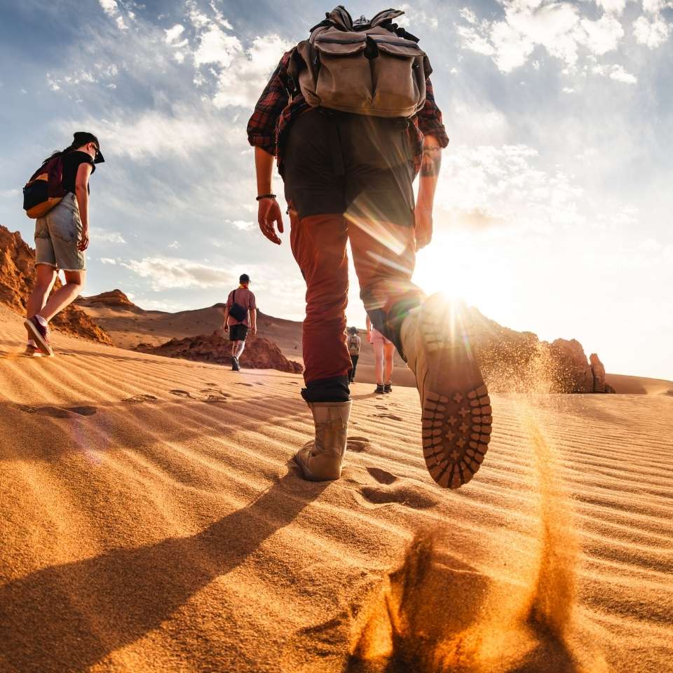 Group tours in Mongolia