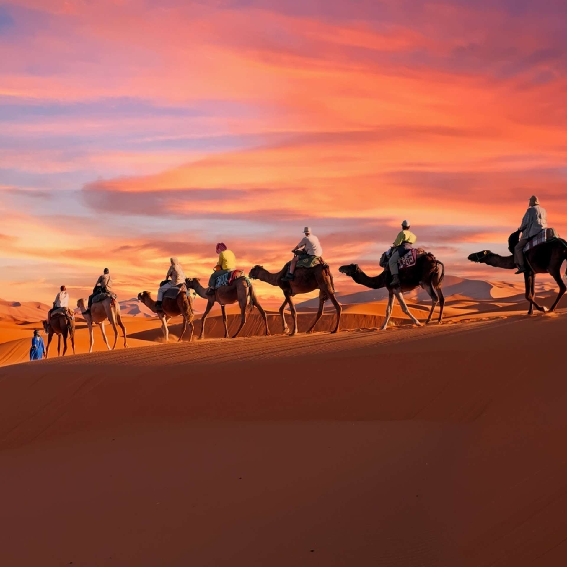 Group tours in Morocco