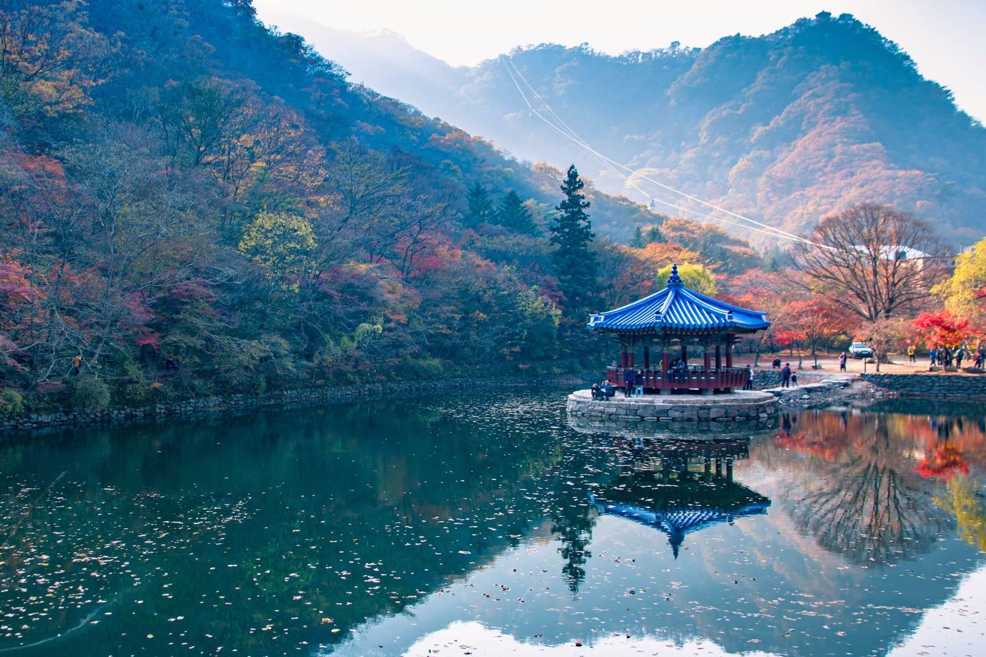 Reflection on f autumn season Jeju Island, Korea