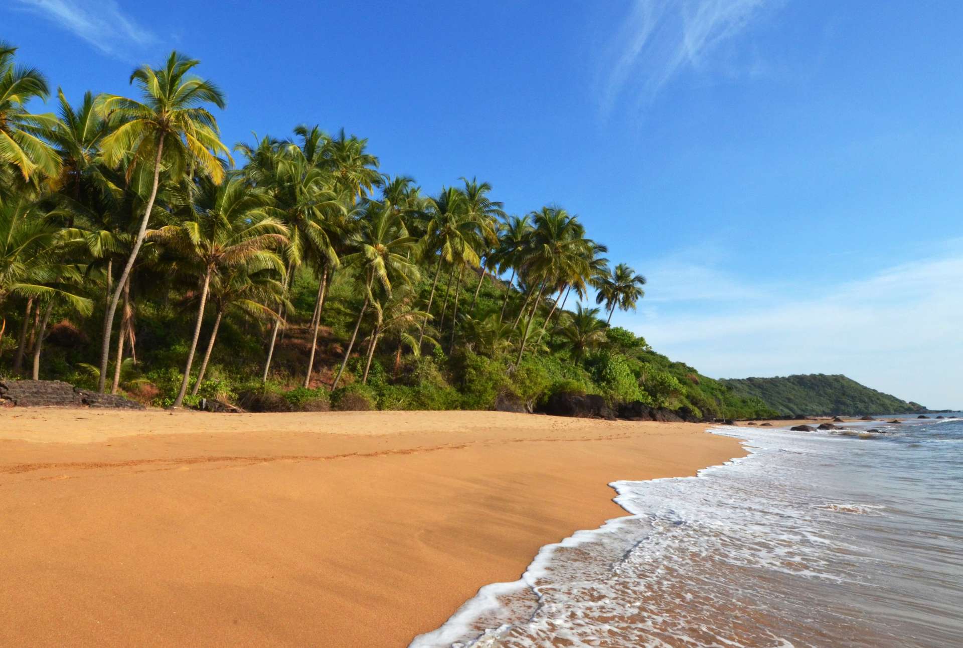 Landscape goa