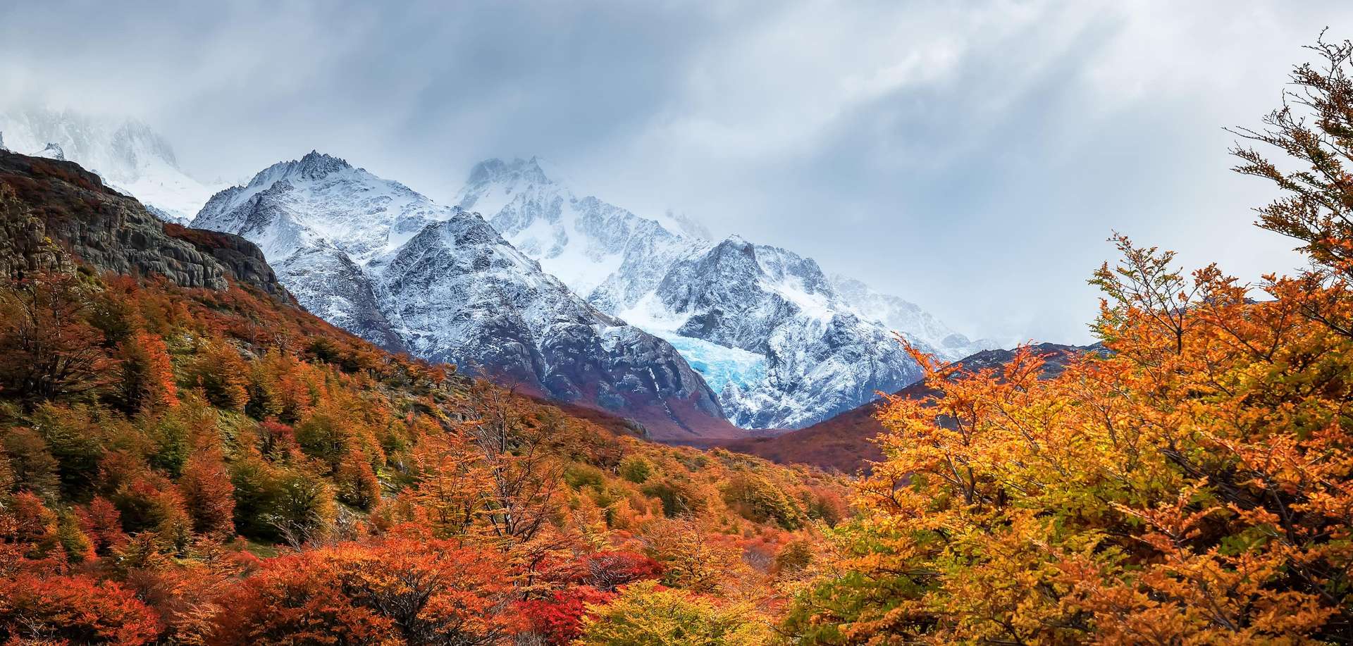Los Glaciares National Park Tours