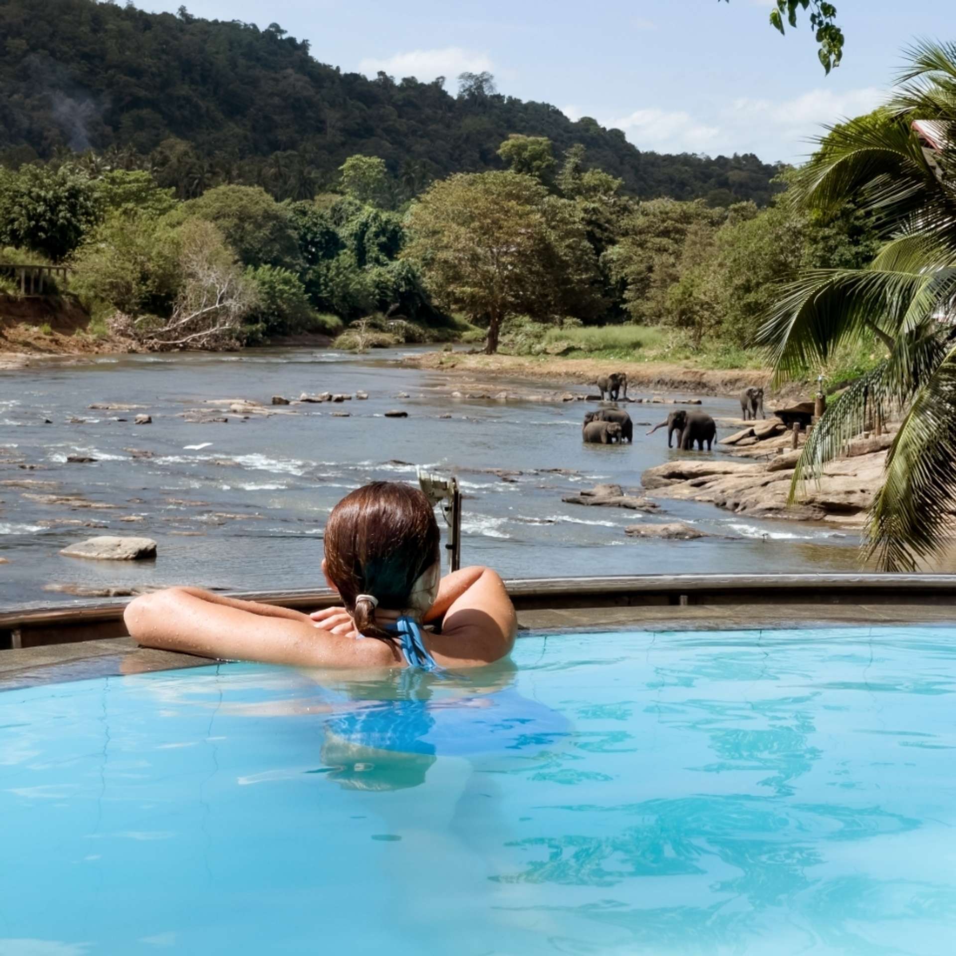 Luxury tours in Sri Lanka