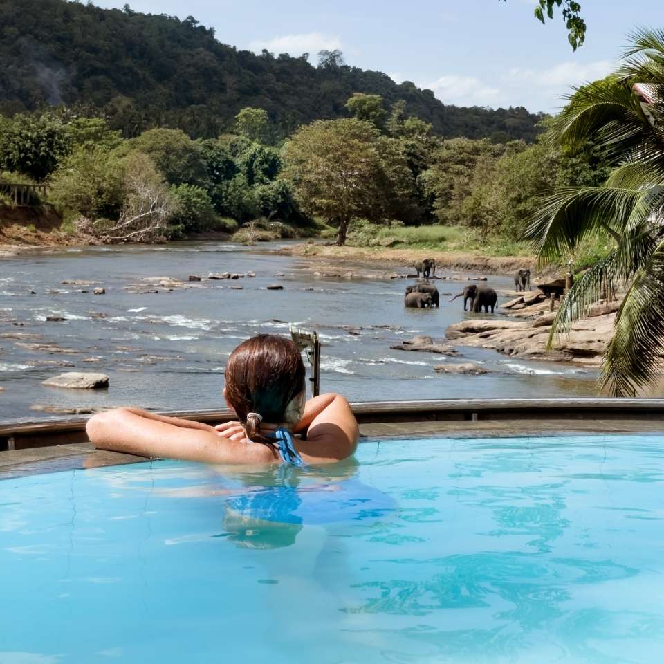 Luxury tours in Sri Lanka