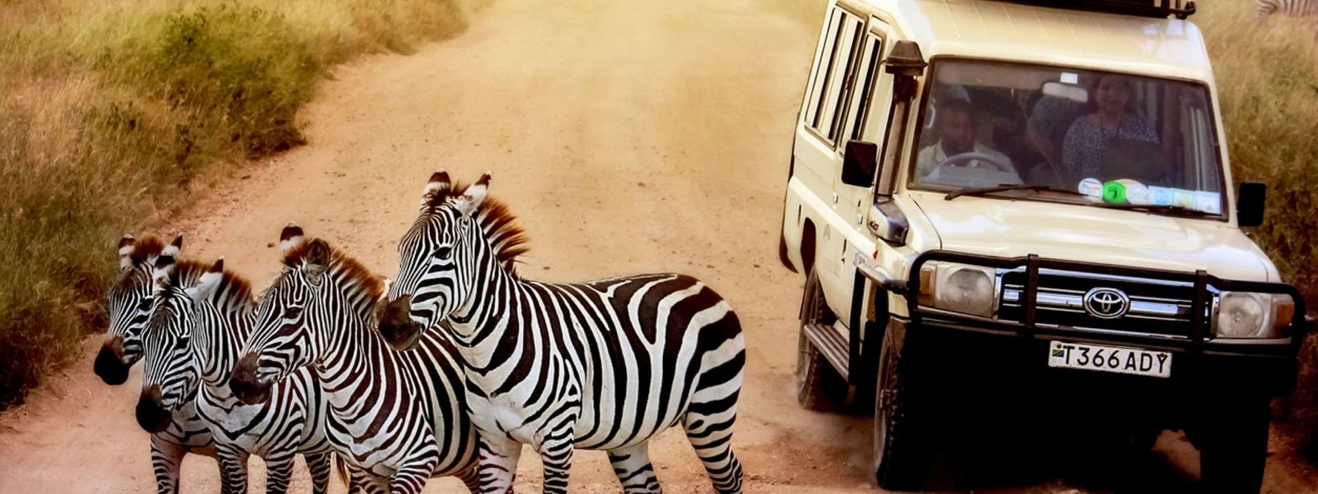Tanzania and Zimbabwe Tours and Trips