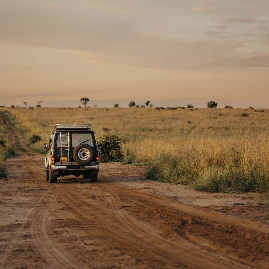 Uganda tours and trips
