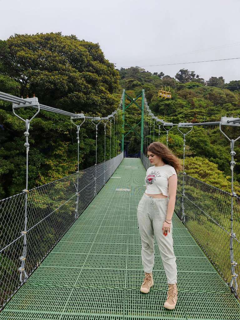 A woman stands on the hanging bridge over a green forest