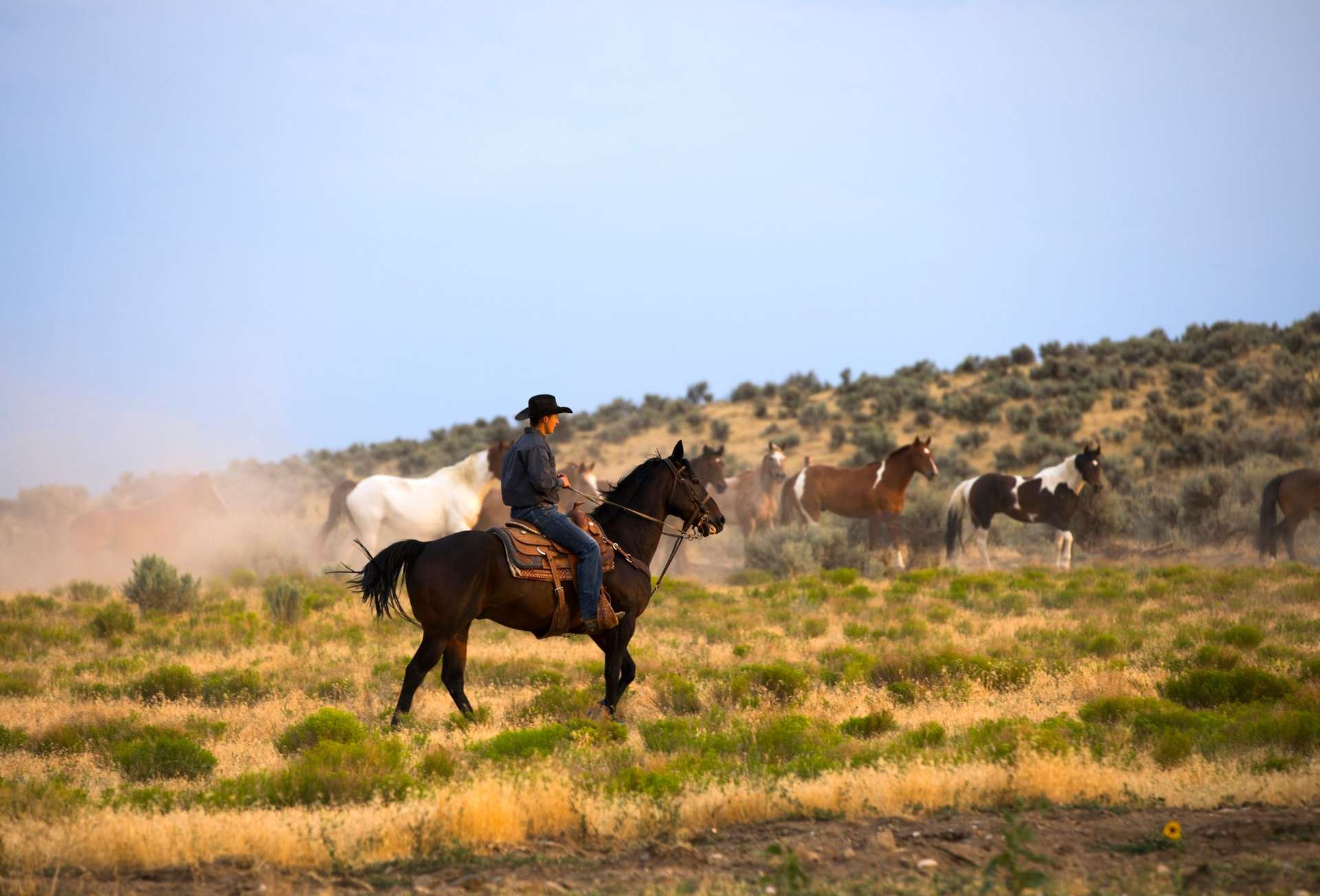 Experienced Travelers tours in Argentina