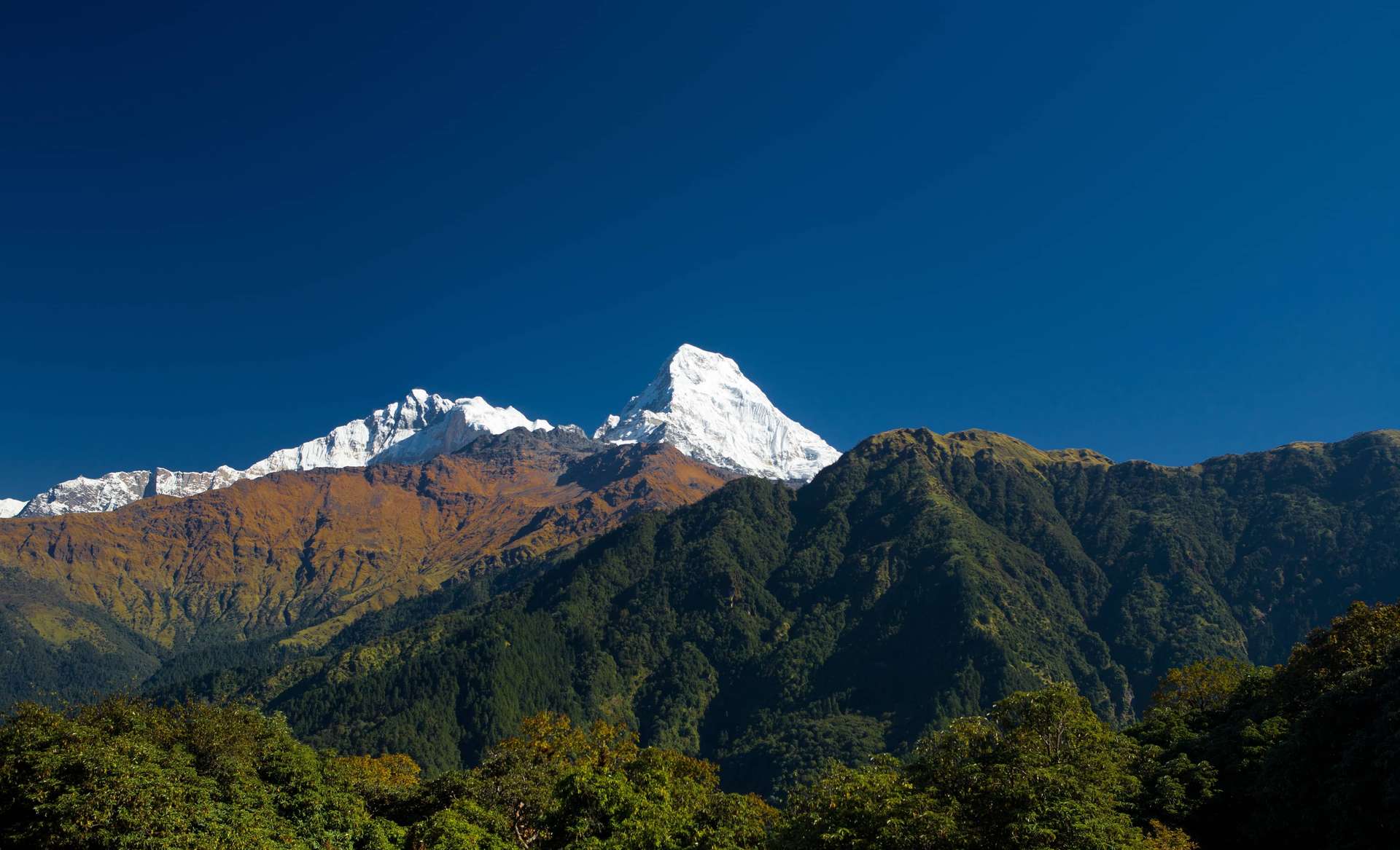 Nepal Family Trips and Tours