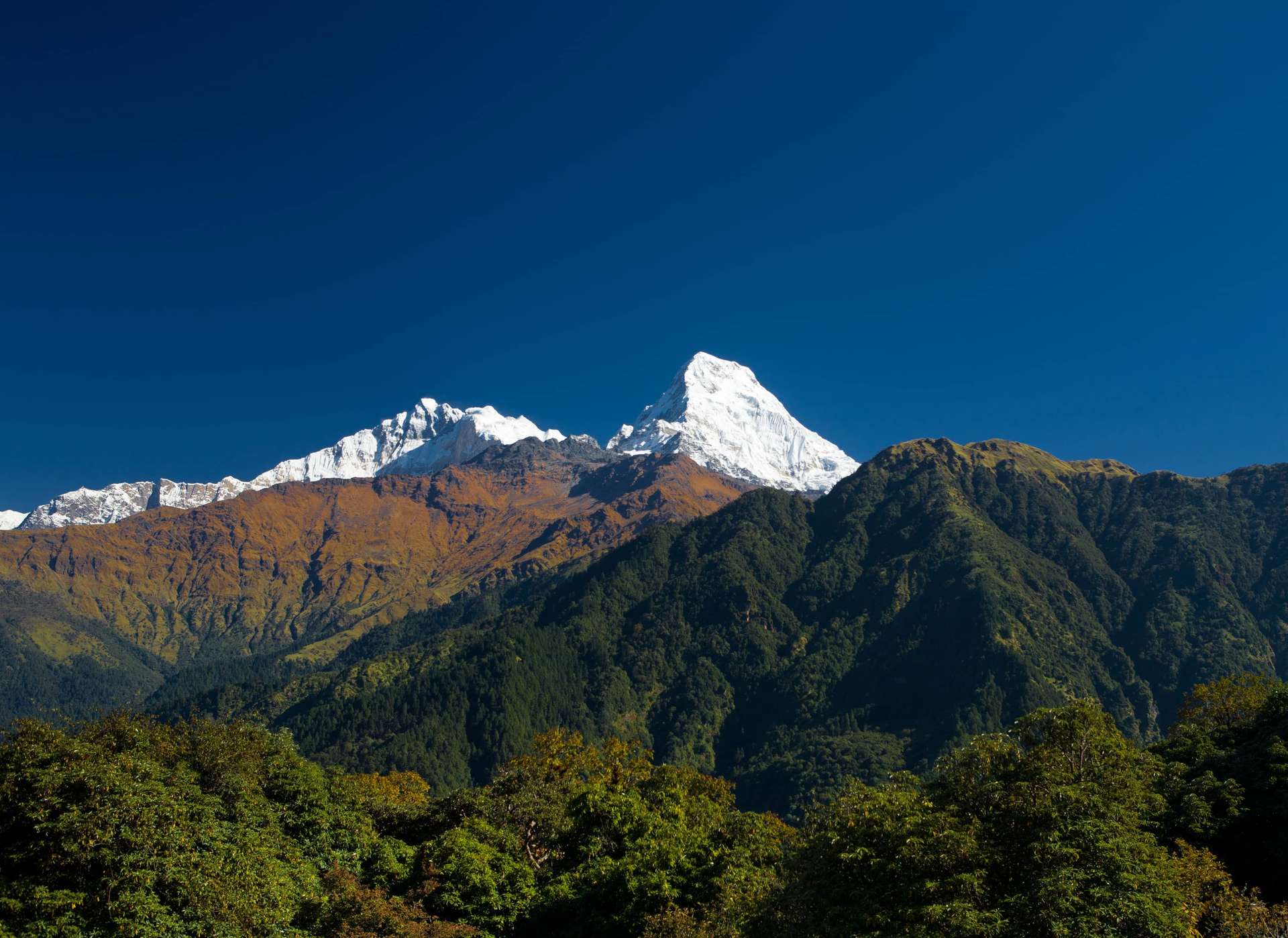 Trekking in Nepal