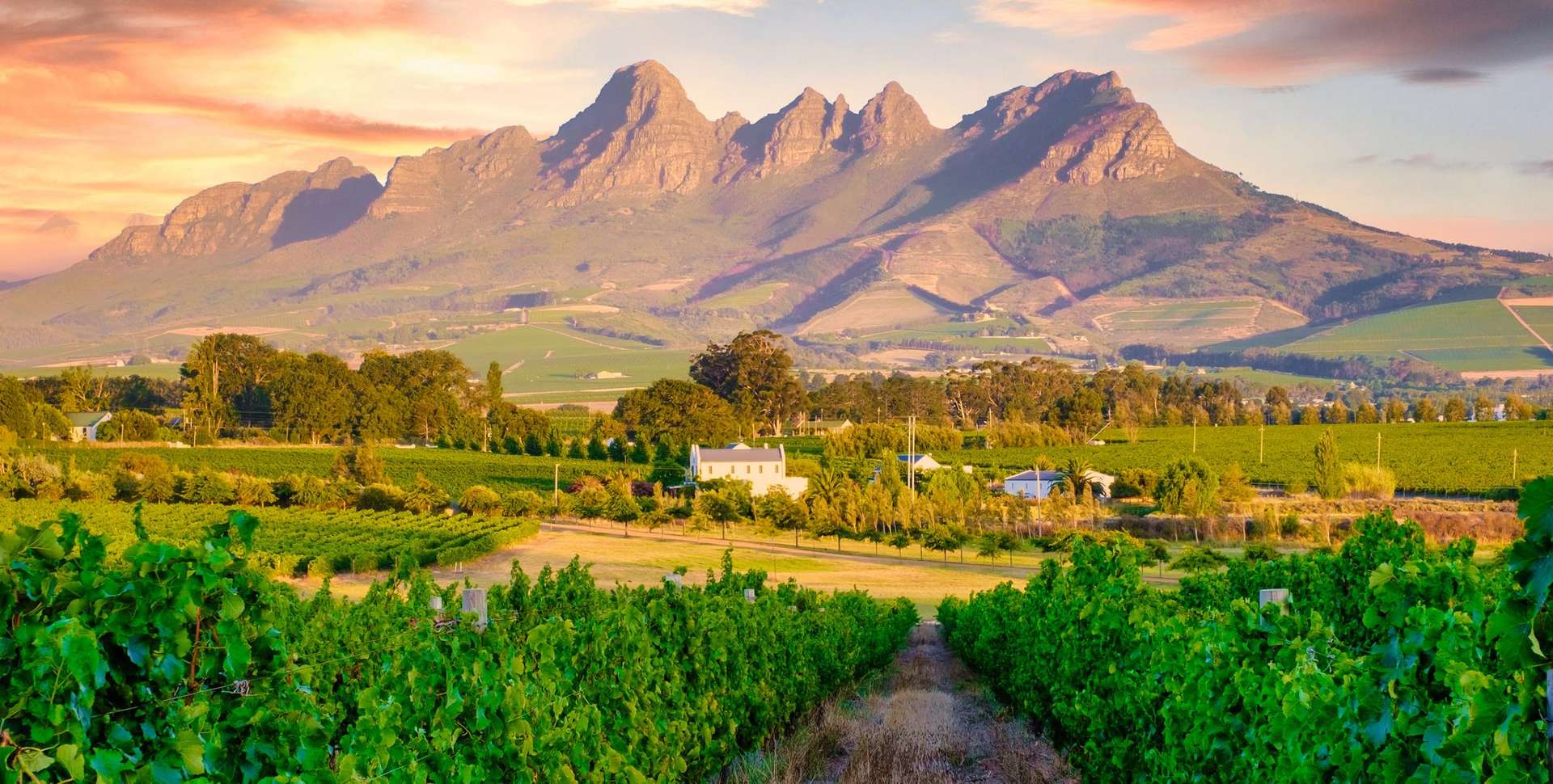 South Africa Tours for Seniors