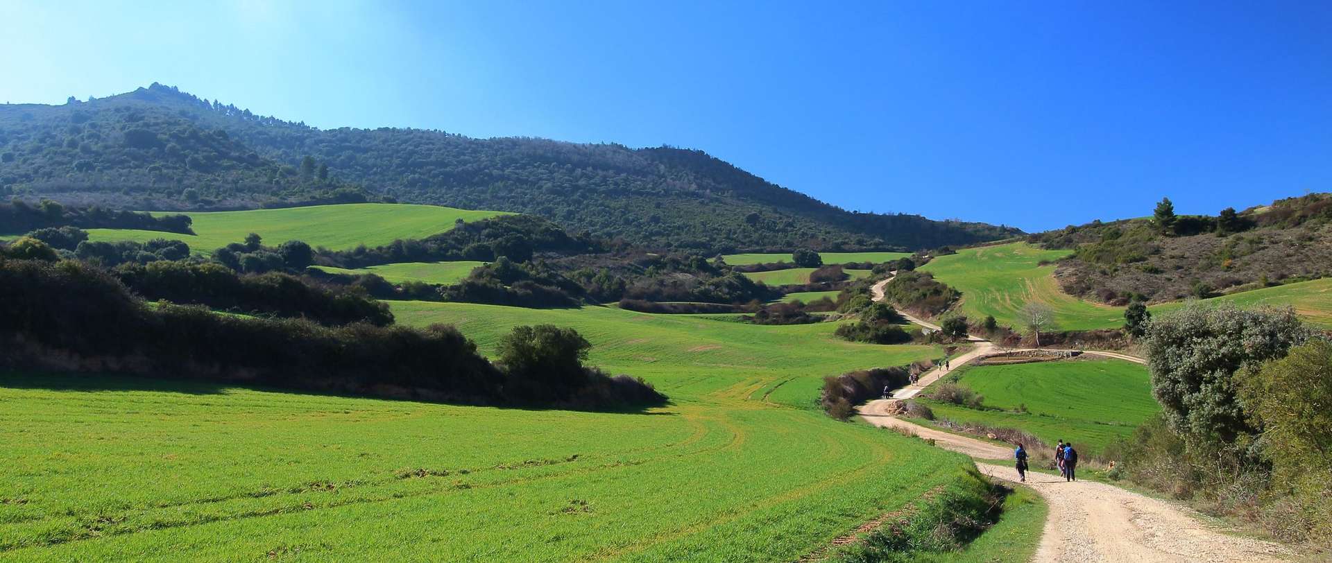 Spain Tours for Experienced Travelers