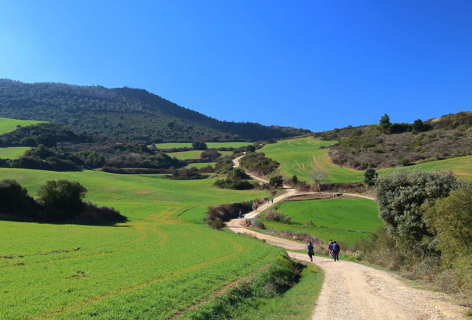 Experienced Travelers tours in Spain