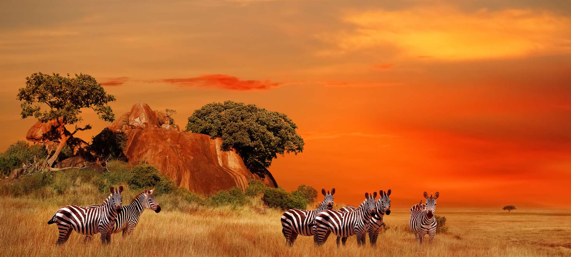 Tanzania Group Tours and Trips