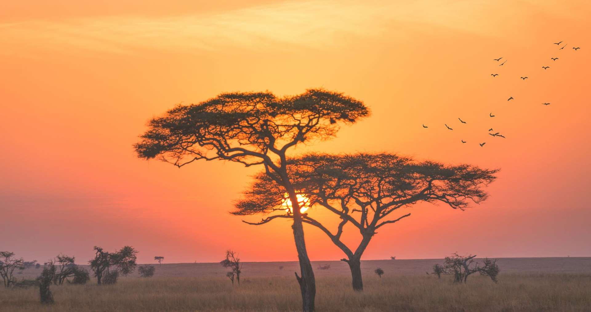 Tanzania Tours for Seniors