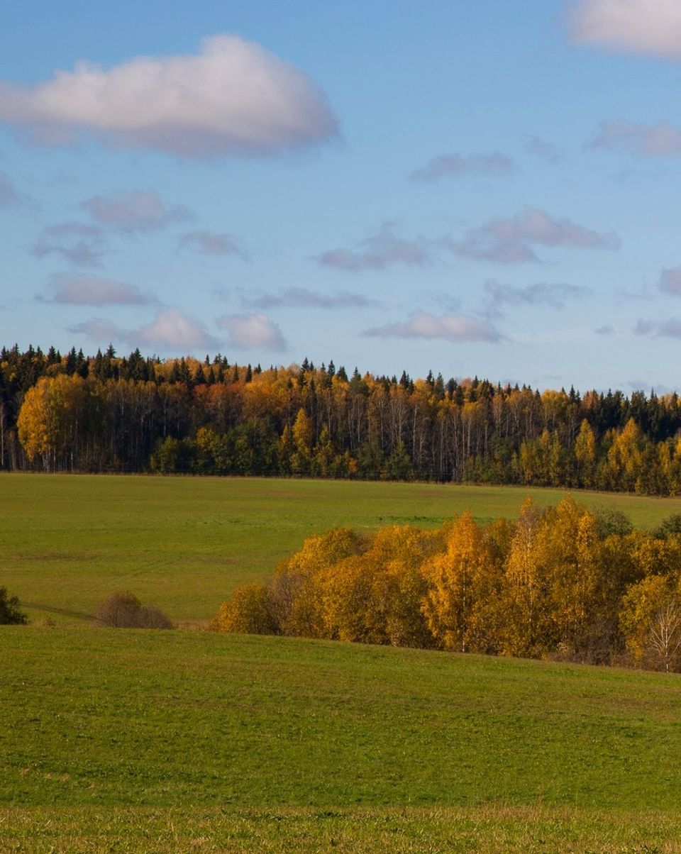 November Super Sales