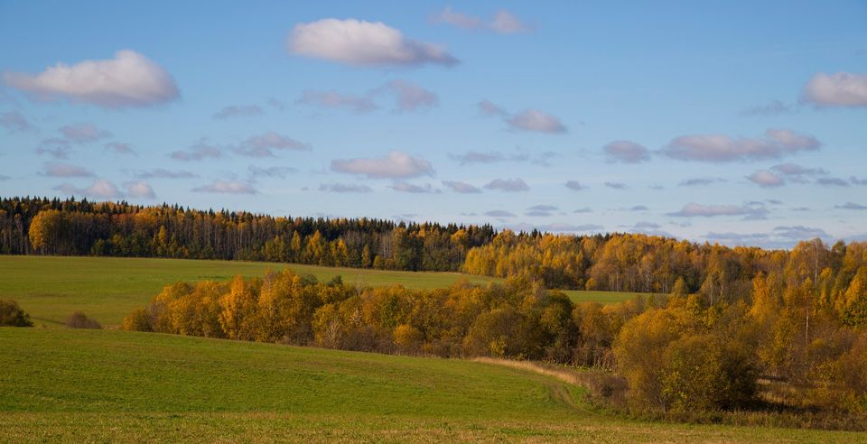 November Super Sales