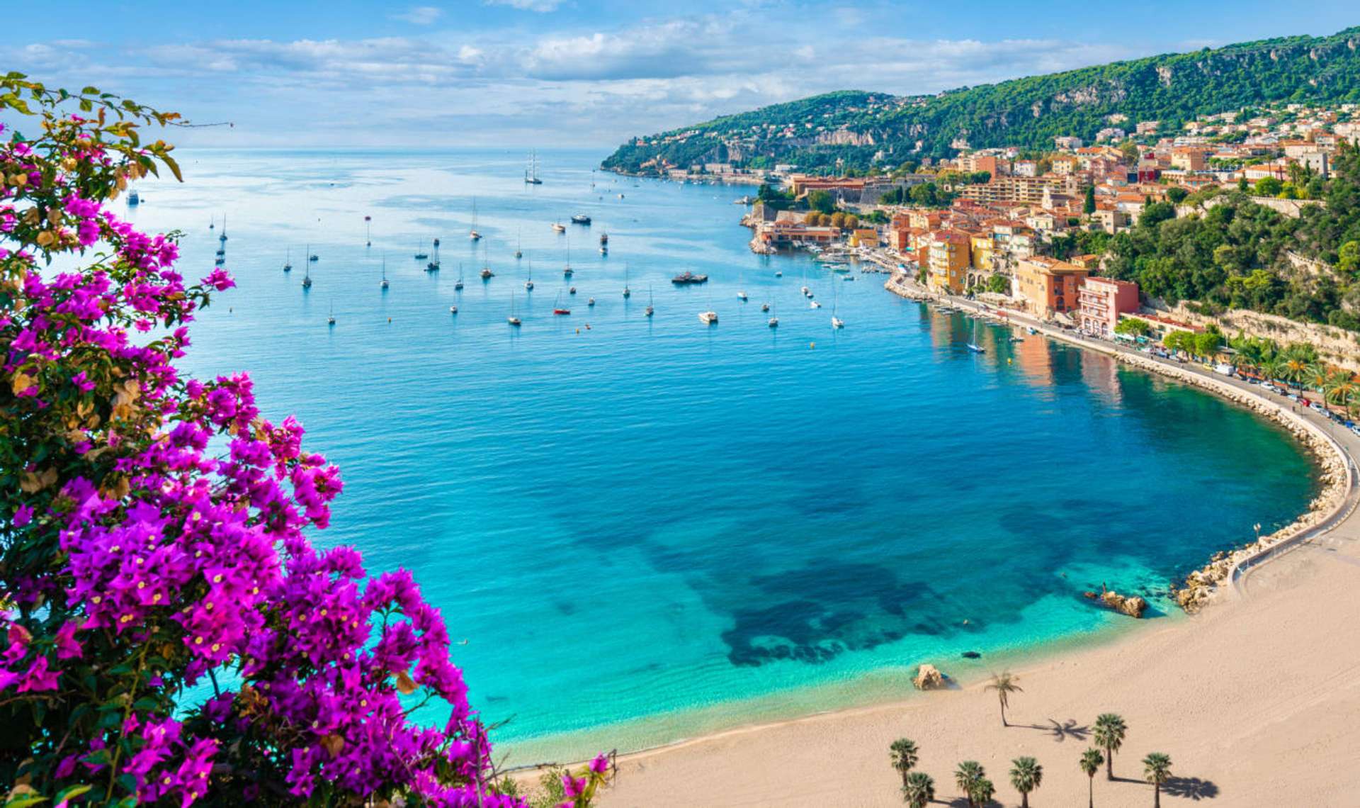 Luxury Trips and Tours