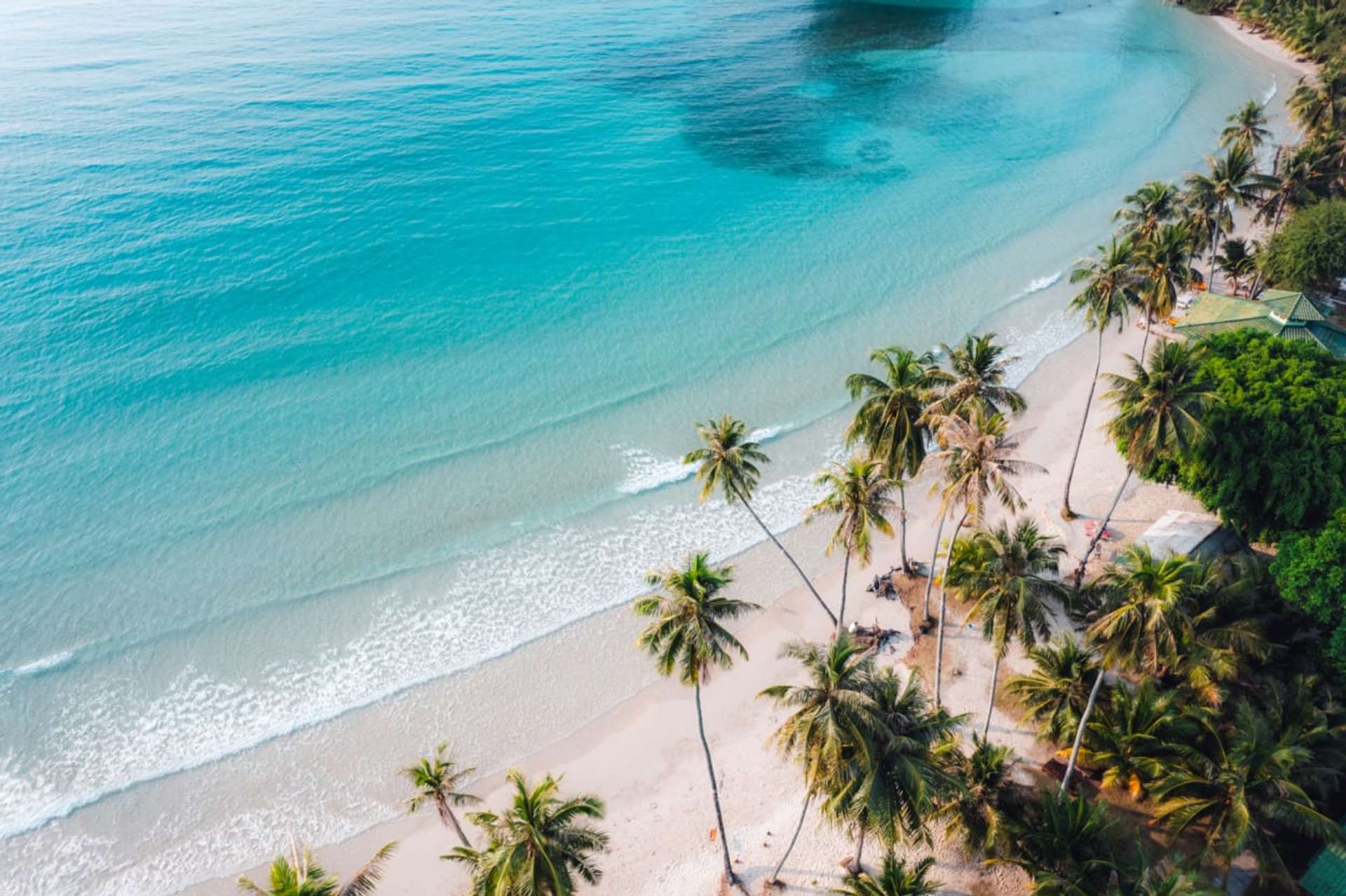 Private Trips and Tours